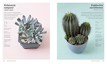 Succulents: Everything You Need to Select, Pair and Care for